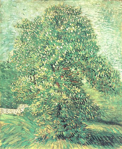 Bluehender Kastanienbaum 1 von van Gogh als Kunstdruck auf Leinwand