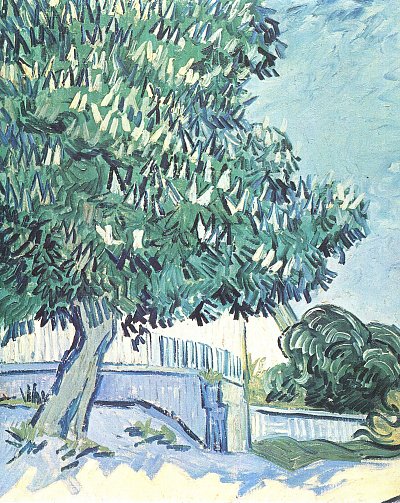 Bluehender Kastanienbaum 2 von van Gogh als Kunstdruck auf Leinwand