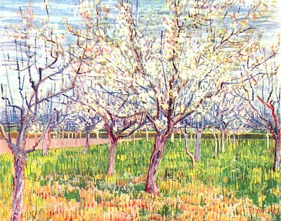 Bluehender Obstgarten von van Gogh als Kunstdruck auf Leinwand