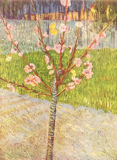 Bluehender Pfirsichbaum von van Gogh als Kunstdruck auf Leinwand