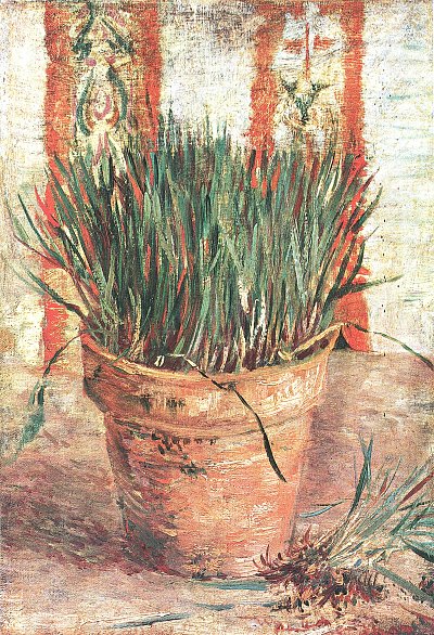 Blumentopf mit Schnittlauch von van Gogh als Kunstdruck auf Leinwand