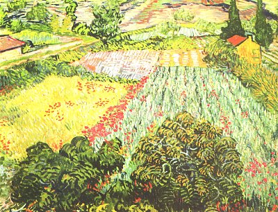 Das Mohnblumenfeld von van Gogh als Kunstdruck auf Leinwand