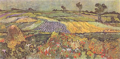 Ebene bei Auvers von van Gogh als Kunstdruck auf Leinwand
