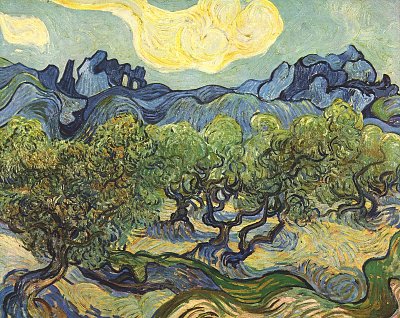 Landschaft mit Olivenbaeumen von van Gogh als Kunstdruck auf Leinwand