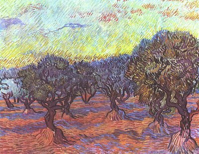Olivenhain 1 von van Gogh als Kunstdruck auf Leinwand