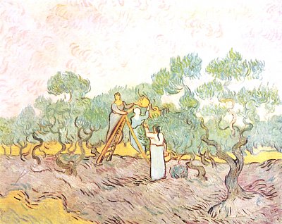 Olivenpflaeckerinnen von van Gogh als Kunstdruck auf Leinwand