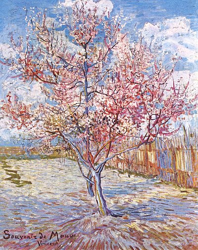 Souvenir de Mauve von van Gogh als Kunstdruck auf Leinwand