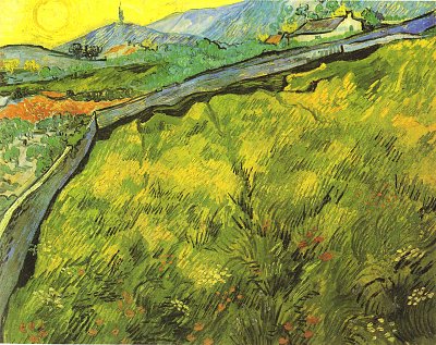 Ummauertes Feld von van Gogh als Kunstdruck auf Leinwand