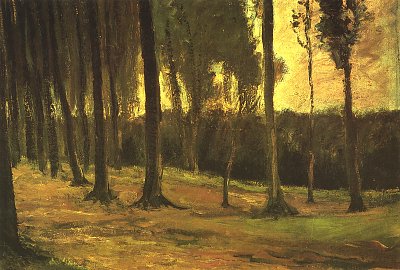 Waldrand von van Gogh als Kunstdruck auf Leinwand