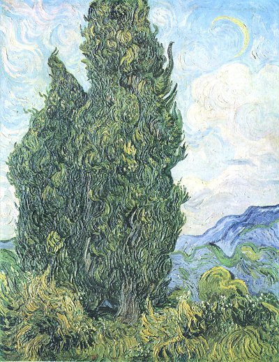 Zypressen 1 von van Gogh als Kunstdruck auf Leinwand