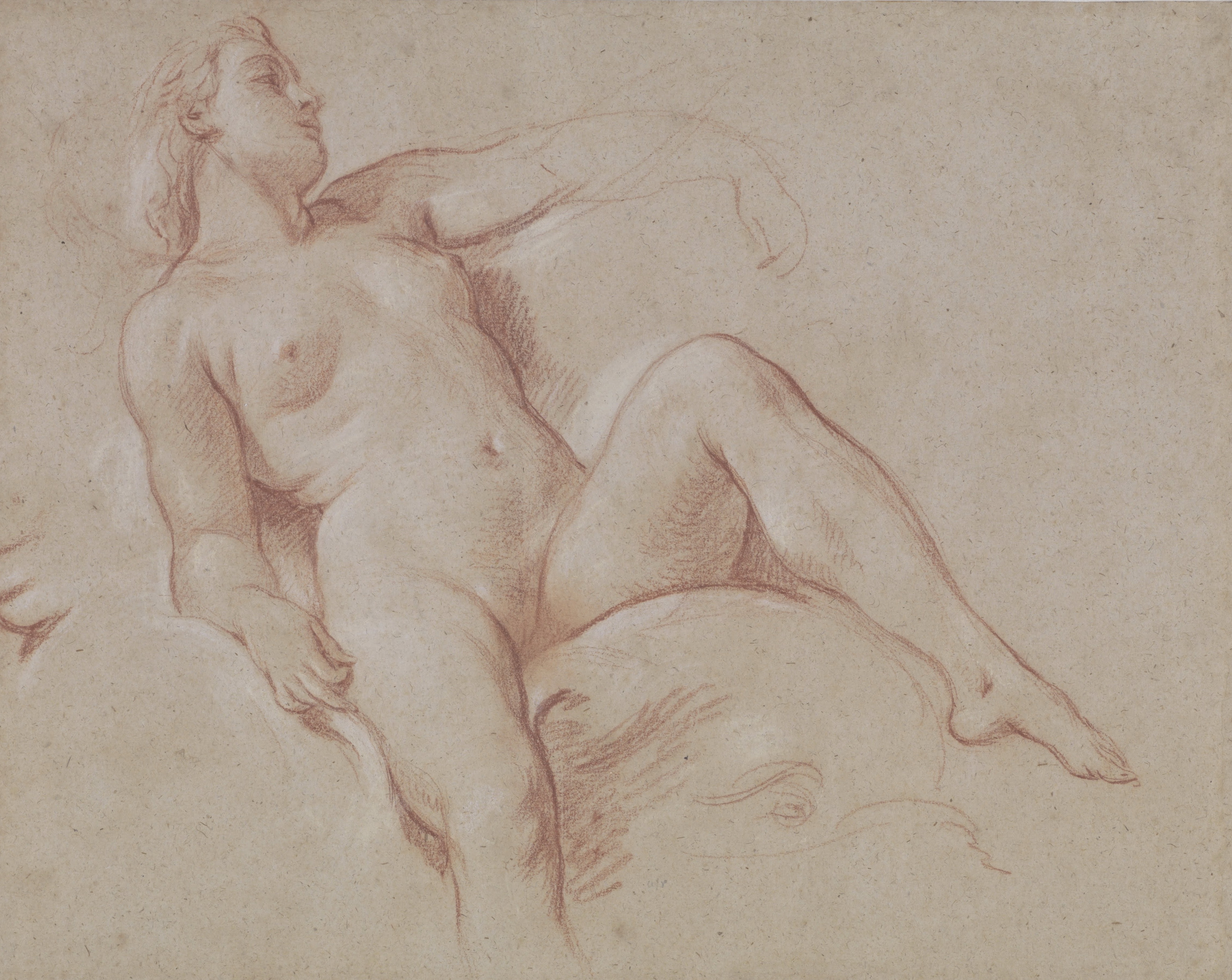 Kunstdruck Female Nude on a Dolphin.. von Francois Boucher als Leinwandbild