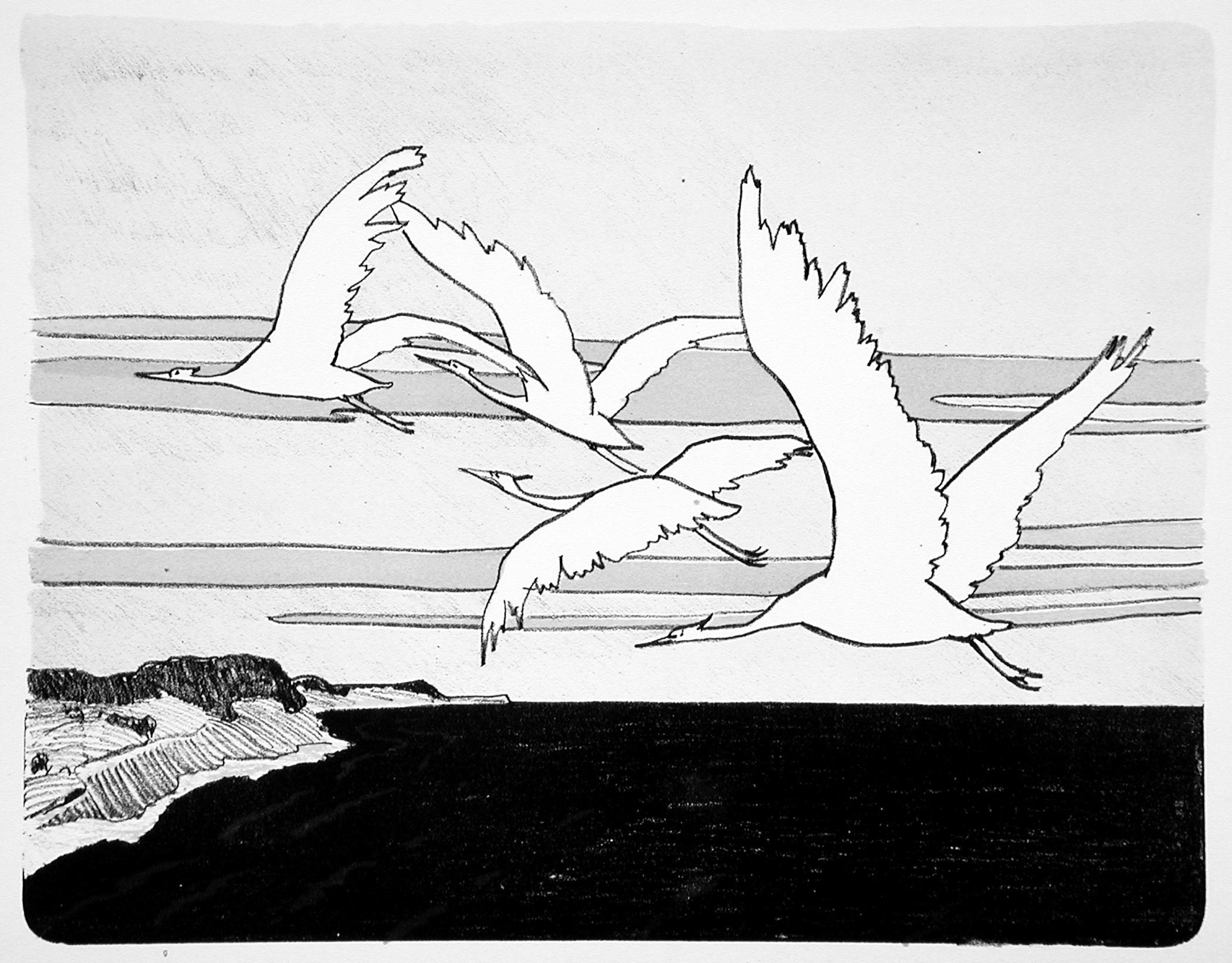 Kunstdruck Cranes.. von Walter Leistikow als Leinwandbild